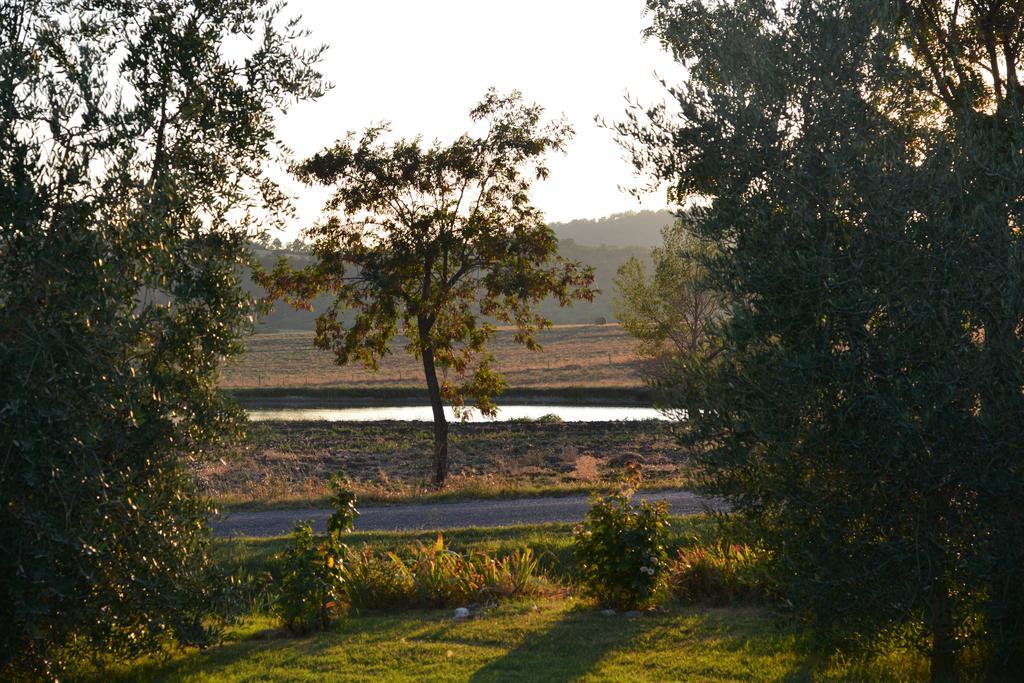 Agriturismo Podere Micitto Usi Habitación foto